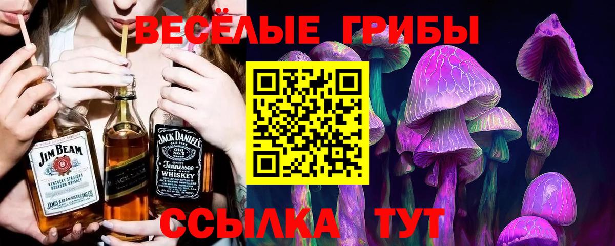 Псилоцибиновые грибы мухоморы Тайшет