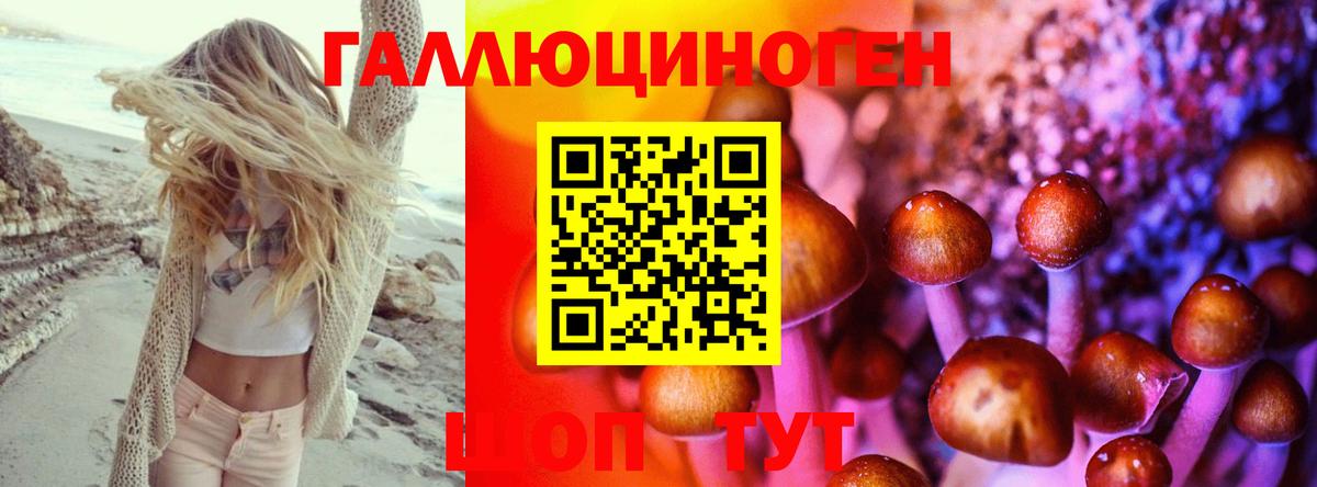 Тайшет  Псилоцибиновые грибы Psilocybe  Вход с VPN 